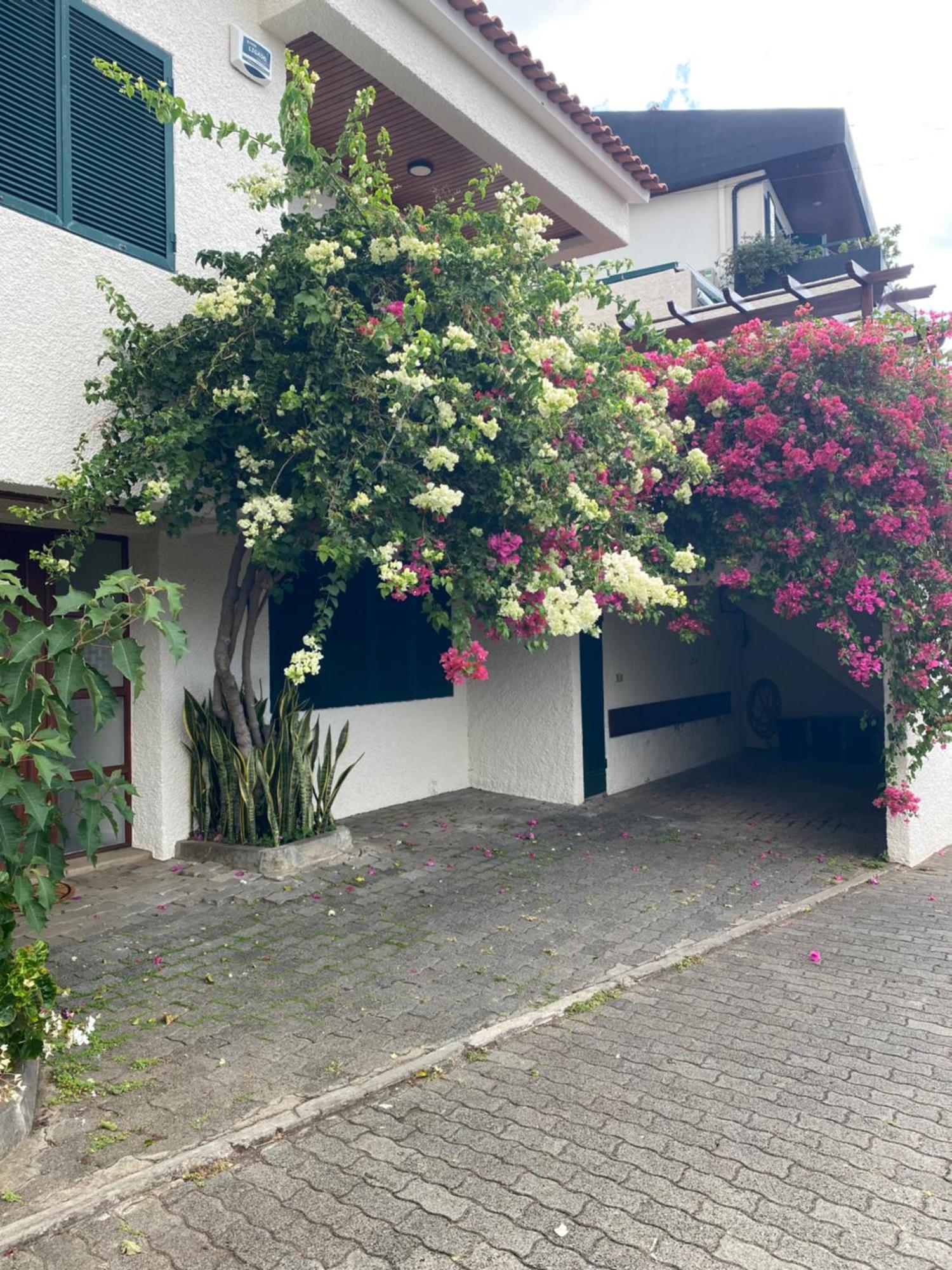 Casa Ideal Para Familias Com Vista Mar Desafogada Funchal  Exterior foto